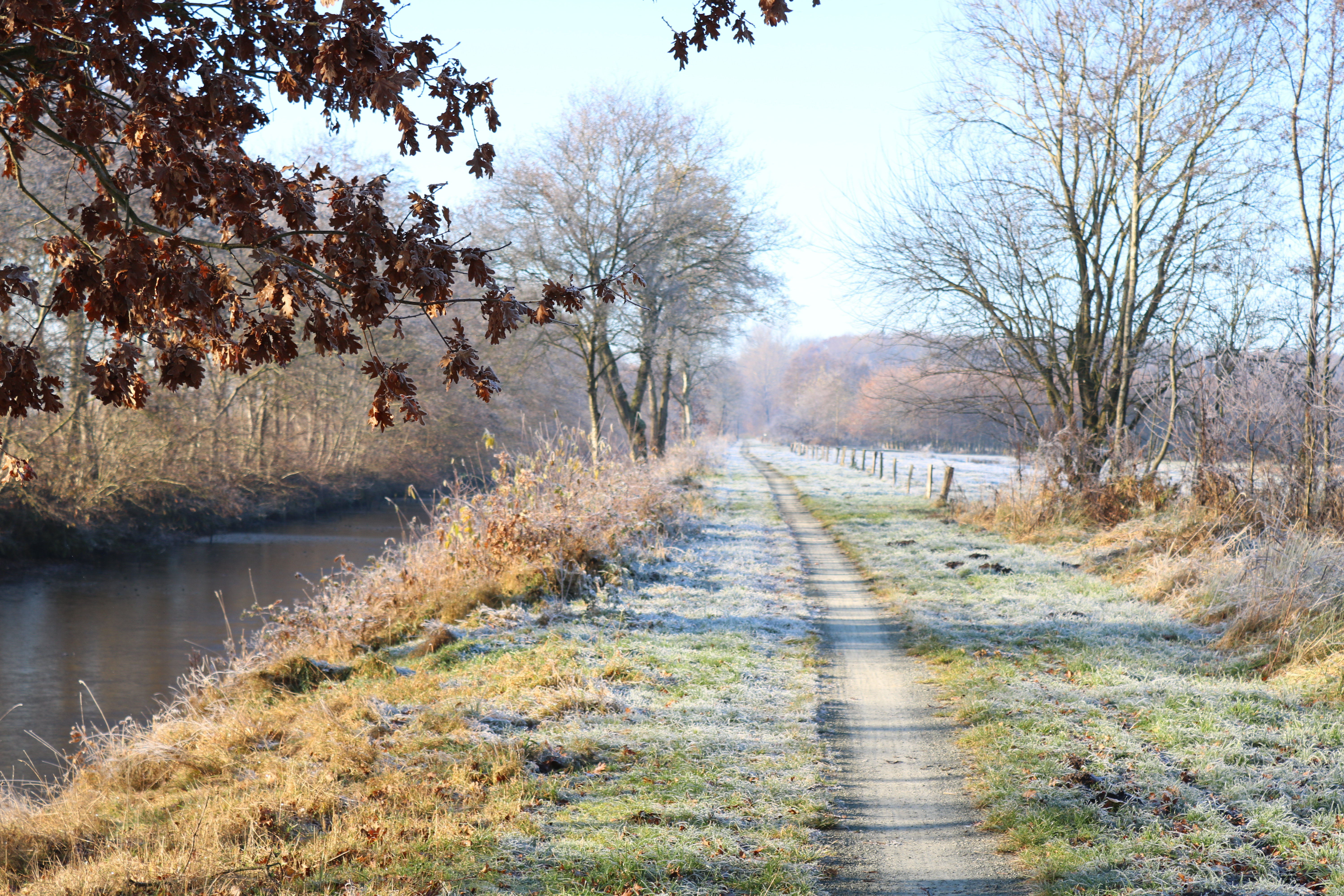 Fußweg entlang eines Kanals Auf der linken Seite ist ein Kanal zu sehen. Am Kanal führt parallel ein schmaler Fußweg entlang. Links und rechts vom Fußweg befinden sich grüne Wiesenstreifen, die leicht von Frost bedeckt sind. Es befinden sich entlang des Kanals und des Fußweges mehrere Bäume, die nur noch zum Teil von Laub bedeckt sind.