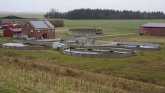 Es ist das Abwasserwerk Hage mit drei Reinigungsbecken und dem Verwaltungsgebäude zu sehen. Im Hintergrund ist die Abfallwirtschaftshof des MKWs des Landkreises Aurich zu erkennen. Auf der rechten Seite steht eine Halle des Abwasserwerks Hage.